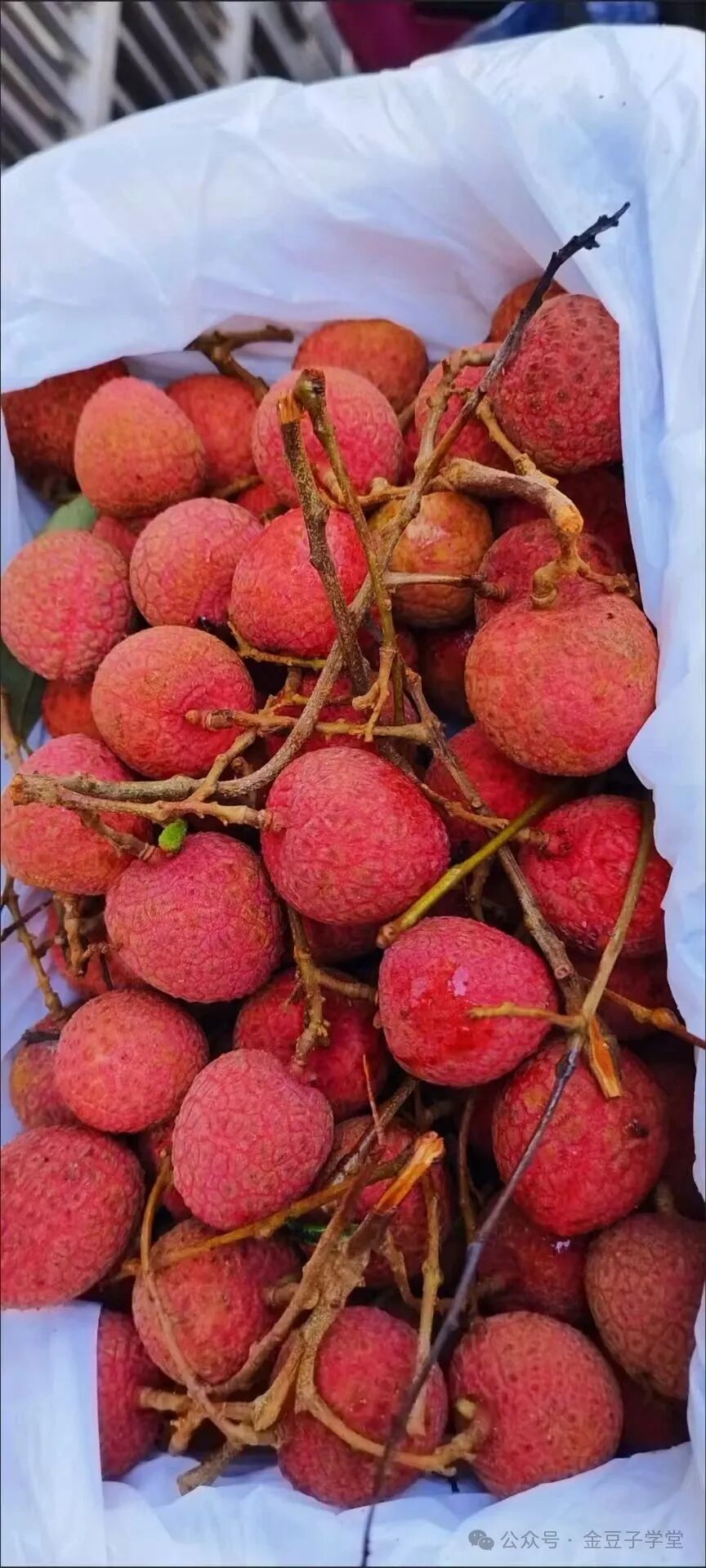 悦悦: 炒币亏了18w，跟着豆豆老师干,做到了月入5w+